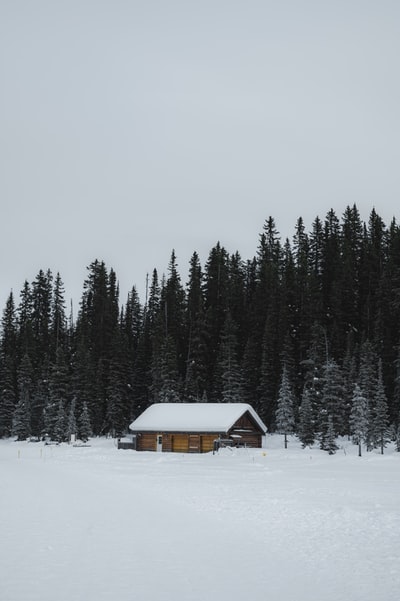 积雪地上的棕色木屋
